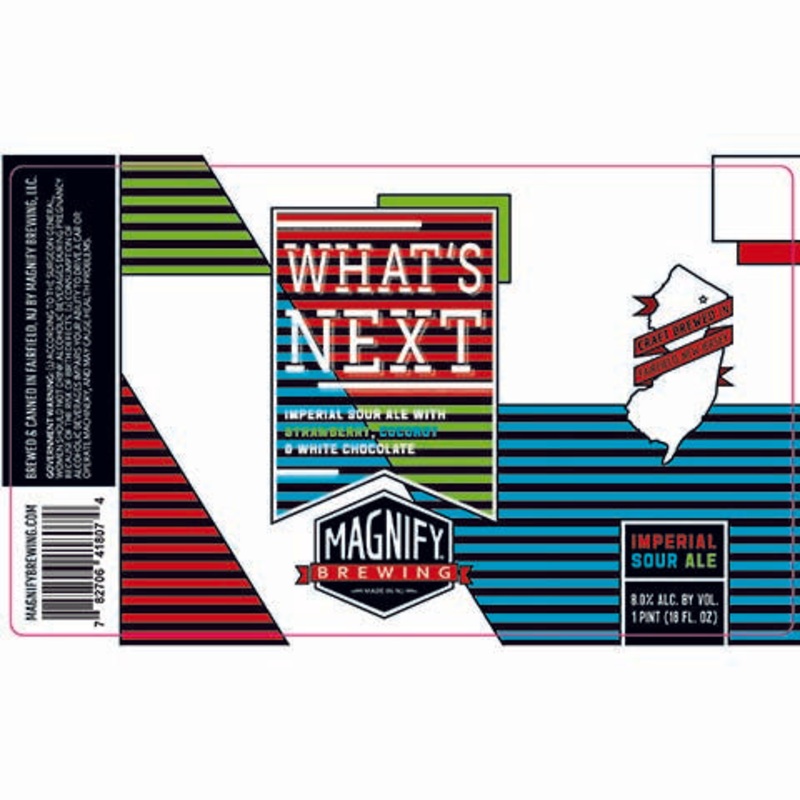 Magnify What’s Next Imperial Sour Ale 16OZ SINGLE CAN