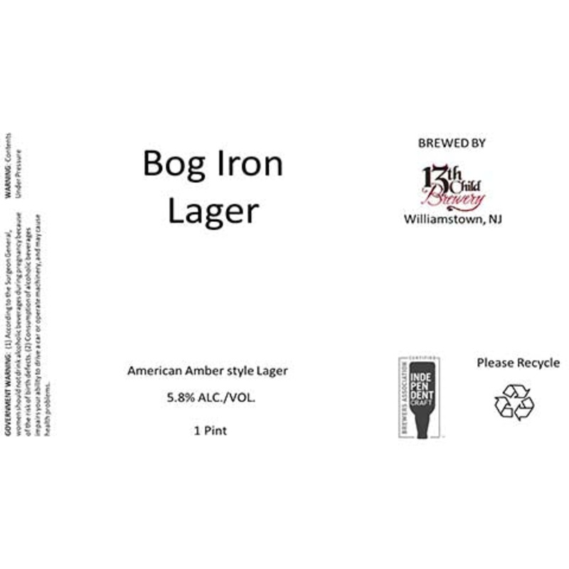 13th Child Bog Iron Lager 16OZ SINGLE CAN