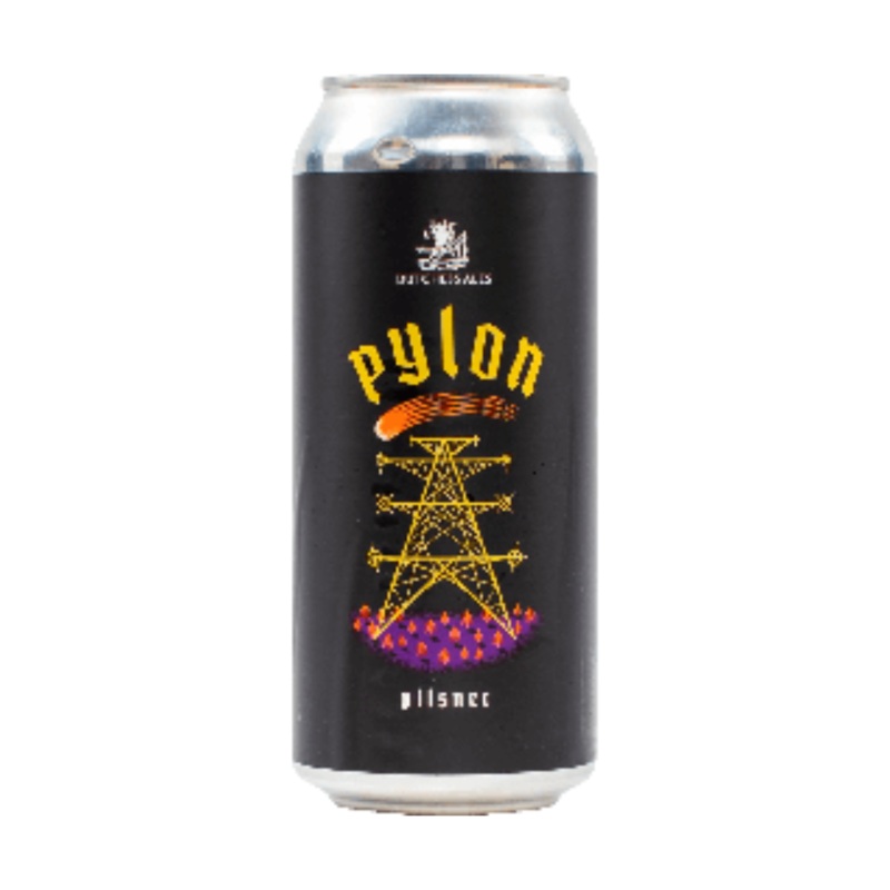 Dutchess Ales Pylon Pilsner