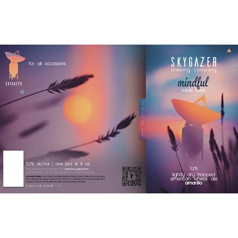 Skygazer Mindful 16OZ SINGLE CAN