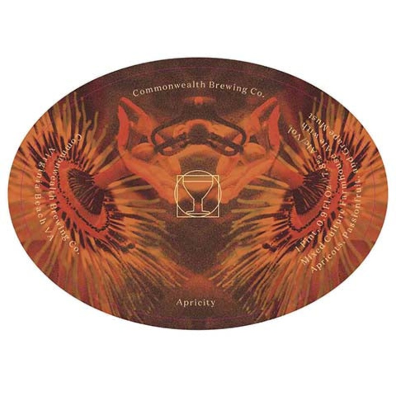 Commonwealth Apricity Ale 500ML CAN