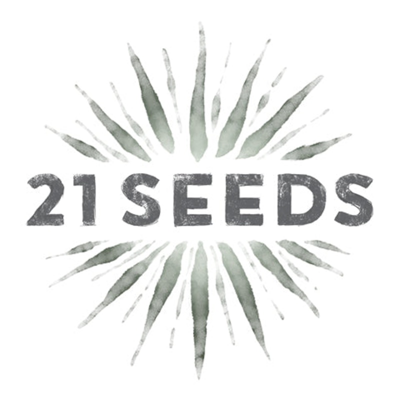 21 Seeds Valencia Orange Infused Blanco Tequila 750ML BTL