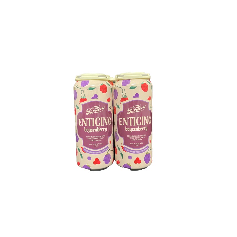 The Bruery Enticing Boysenberry Sour 4 Pack