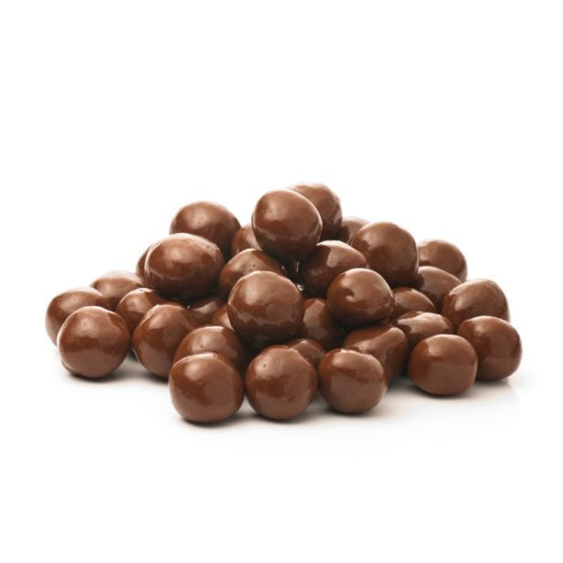 Milk Chocolate Covered Peanuts 16oz