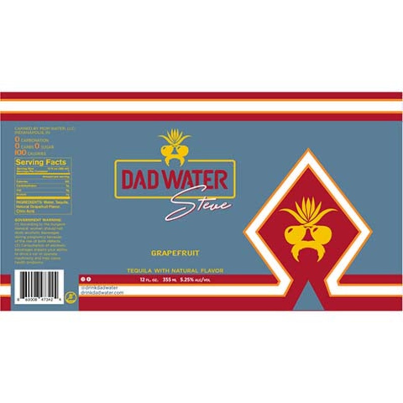 Dad Water Steve 355ML CAN