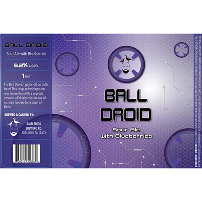 Bald Birds Ball Droid Sour 16OZ SINGLE CAN