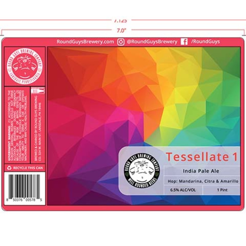 Round Guys Tessellate 1 IPA 16OZ SINGLE CAN